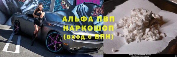 гашик Медногорск