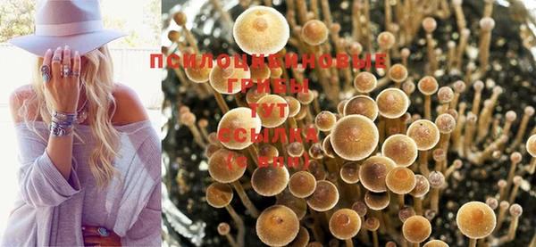 jwh Мегион