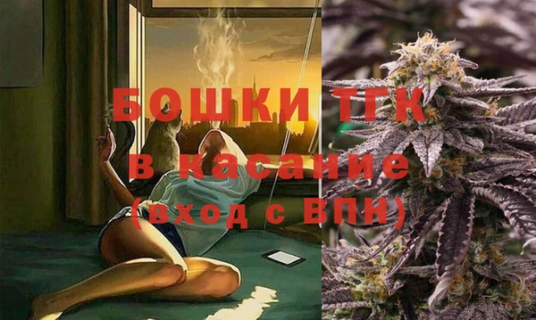 гашик Медногорск