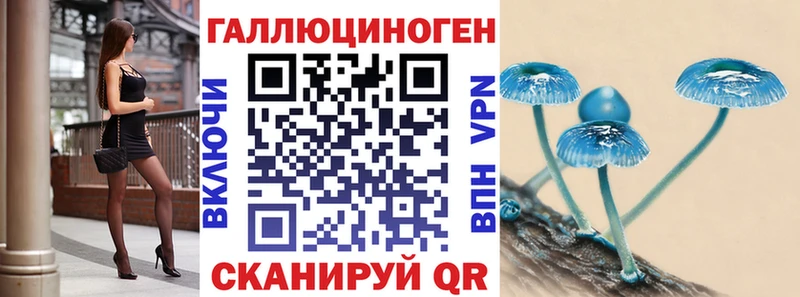 цена   Таруса  Псилоцибиновые грибы Psilocybe 
